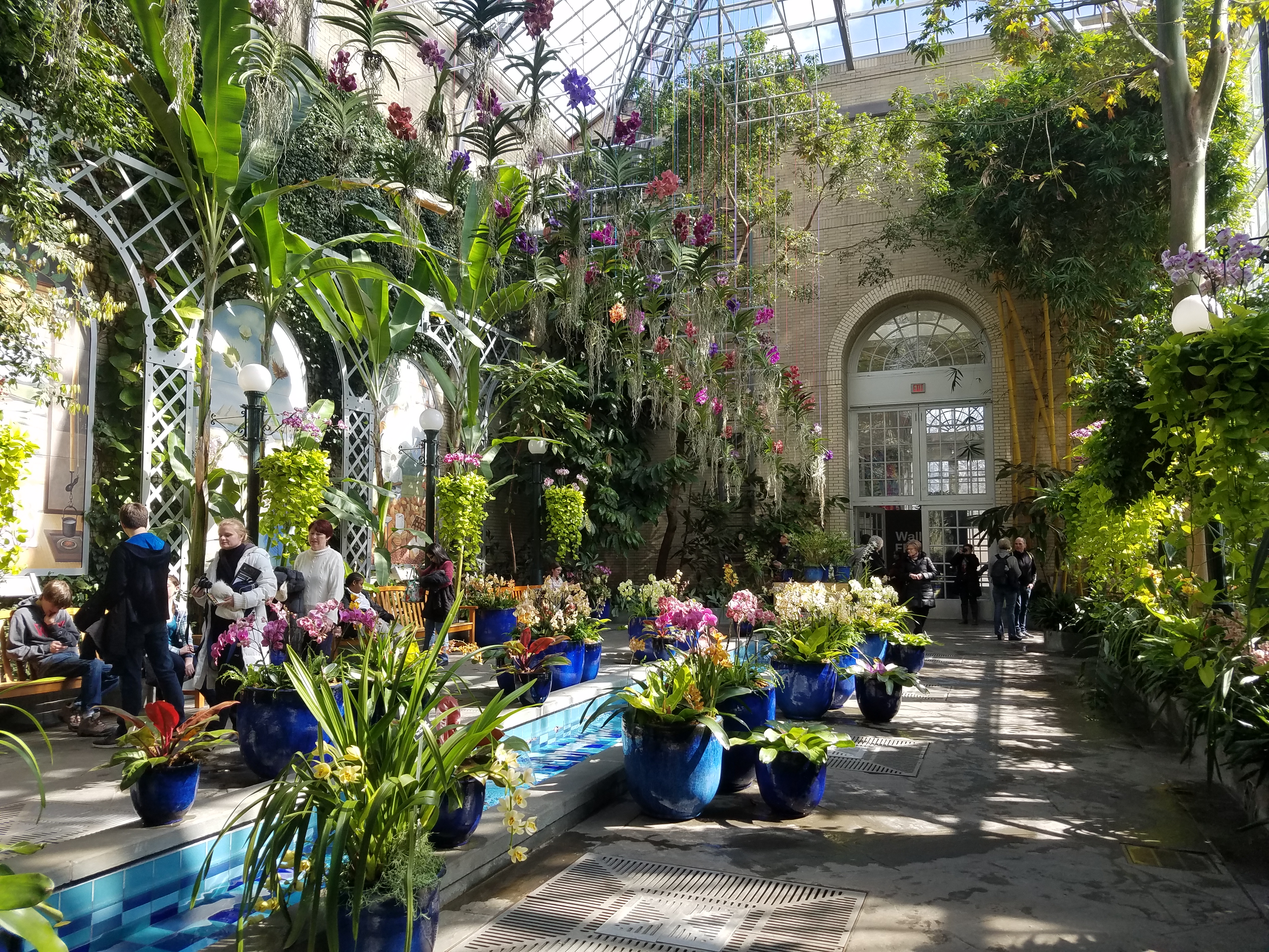 An image of the inside of the botanical gardens in Washington, D.C. (provided by me!)